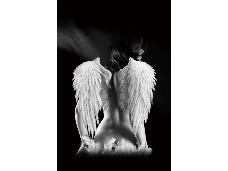 Стеклянная картина SIGNAL ANGEL, 80x120 