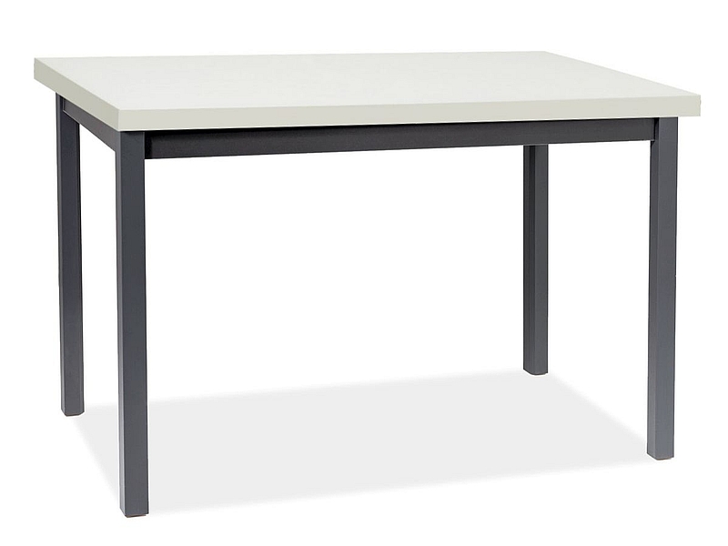 Фото и описание стол signal adam, белый матовый / черный, 100x60