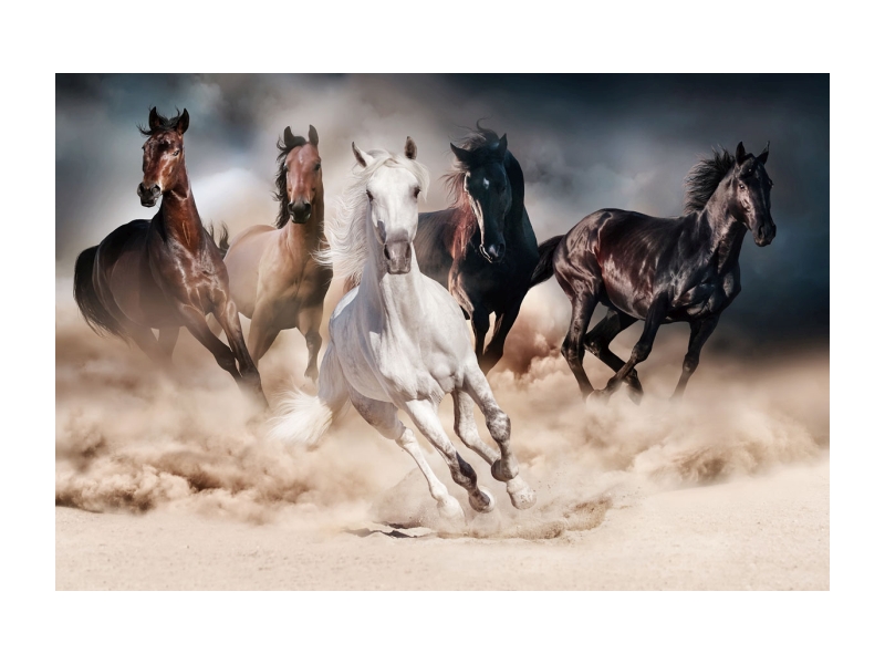Стеклянная картина SIGNAL HORSES, 120X80 